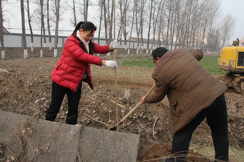 博農集團領導、基層黨政負責人等同志積極參加植樹活動
